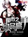 都市之绝品高手封面
