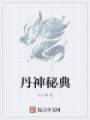 丹神秘典封面