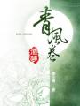 遗梦青风卷封面