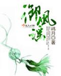 御风谣封面