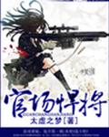 官场悍将封面