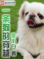 一条狗的穿越封面