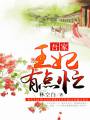 吾家王妃有点忙封面