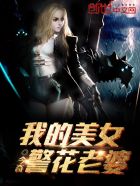 我的美女警花老婆封面