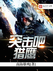 突击吧!猎鹰封面
