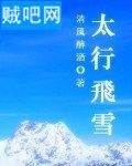太行飞雪封面