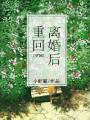 空间重回离婚后封面