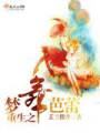 重生之梦舞芭蕾封面