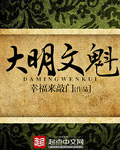 大明文魁封面