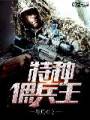 特种佣兵王封面