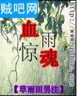 血雨惊魂封面