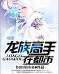 龙族高手在都市封面