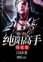 纯阳高手闯花都封面