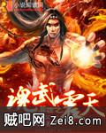 异世之魂武震天封面