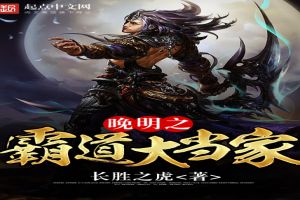 晚明之霸道大当家封面