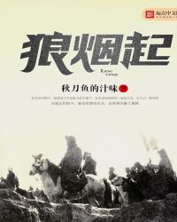 狼烟起封面