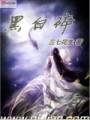 黑白碎封面