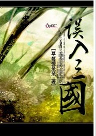 误入三国封面