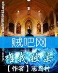 唯我独法封面
