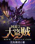 大盗贼封面