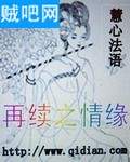 再续之情缘封面