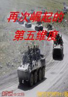 再次崛起的第五维度封面