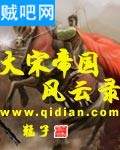 大宋帝国风云录