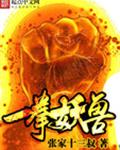 一拳妖兽封面