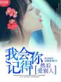 我会记得你,然后爱别人(何以慰风尘)封面