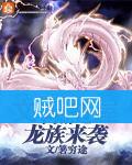 网游之龙族来袭封面