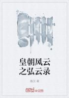 皇朝风云之弘云录封面