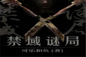 禁域谜局封面