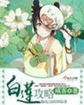 白莲攻略封面