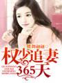 权少追妻365天封面