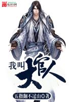 我叫大官人封面