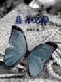 蓝言之隐封面