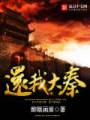 还我大秦封面