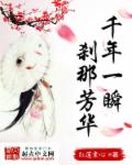 千年一瞬,刹那芳华封面