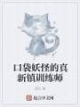 口袋妖怪的真新镇训练师封面