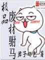 极品废材驸马