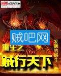 重生之贼行天下封面