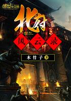 北府风云录封面