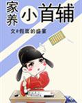家养小首辅封面