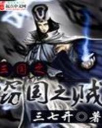 三国之窃国之贼封面