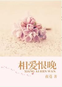相爱恨晚封面