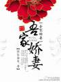 吾家妻娇封面