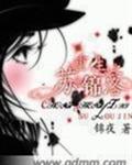 重生之苏锦洛封面