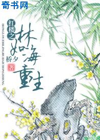 ��¥֮���纣����