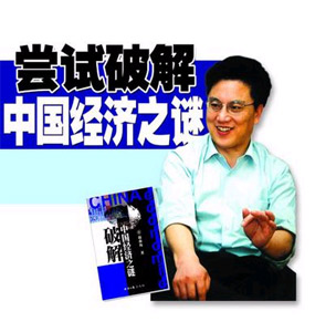 破解中国经济之谜封面