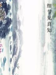 细节见真知封面
